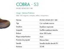Fiche Cobra S3